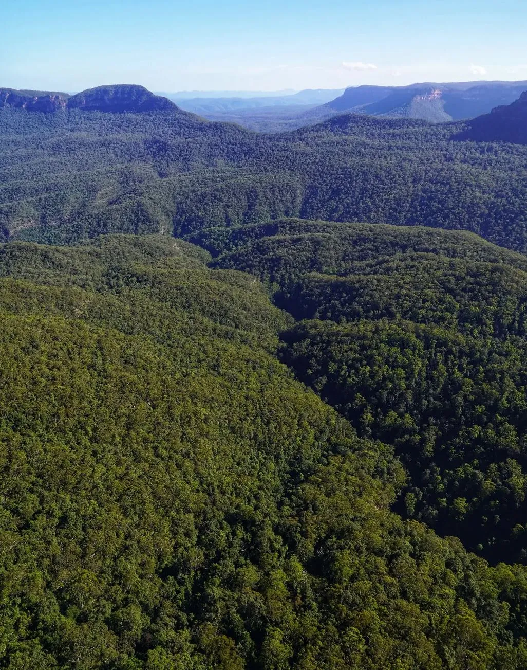 1 Day Blue Mountains Tour