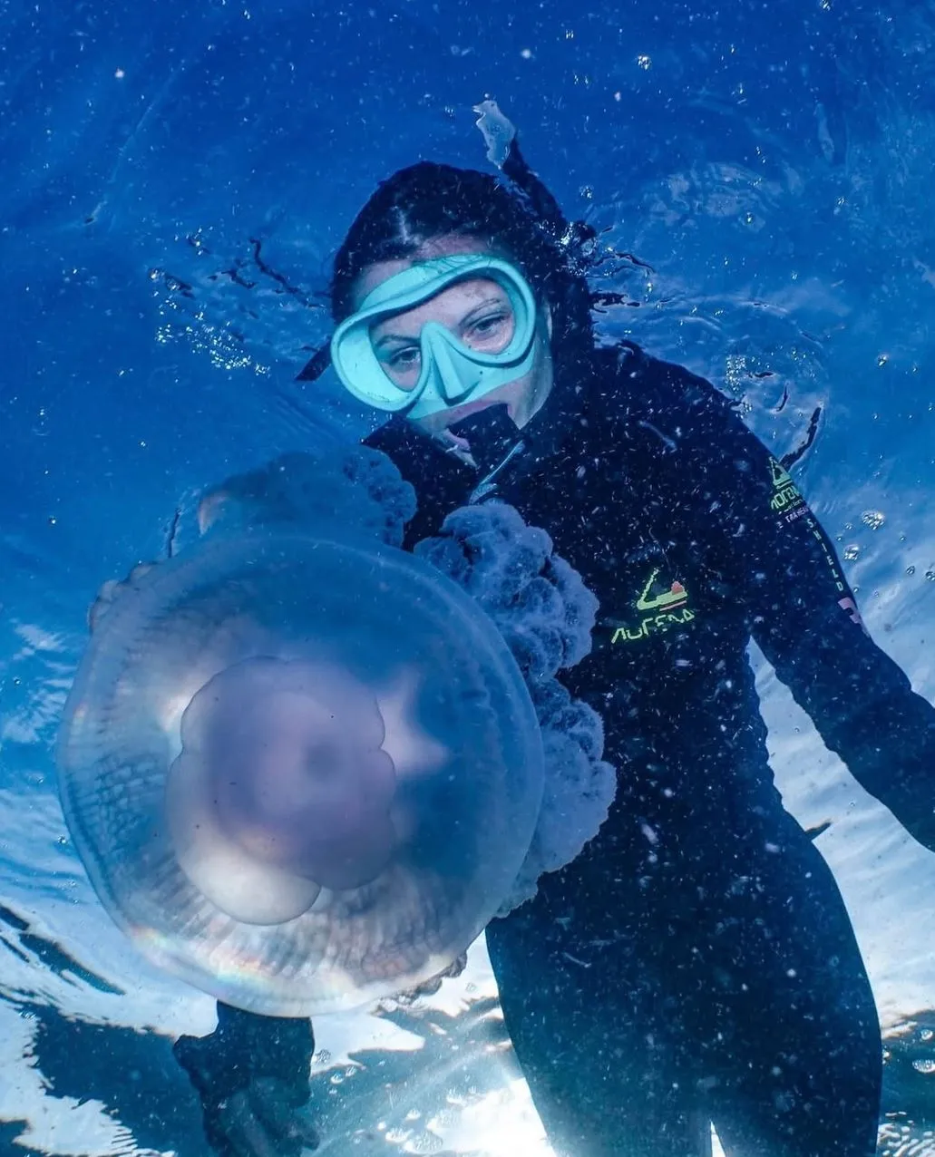 Cape Able Adventures | How Dangerous Are Marine Stingers On The Great Barrier Reef? Why Protective Suits Are an Aussie Traveller’s Best Mate