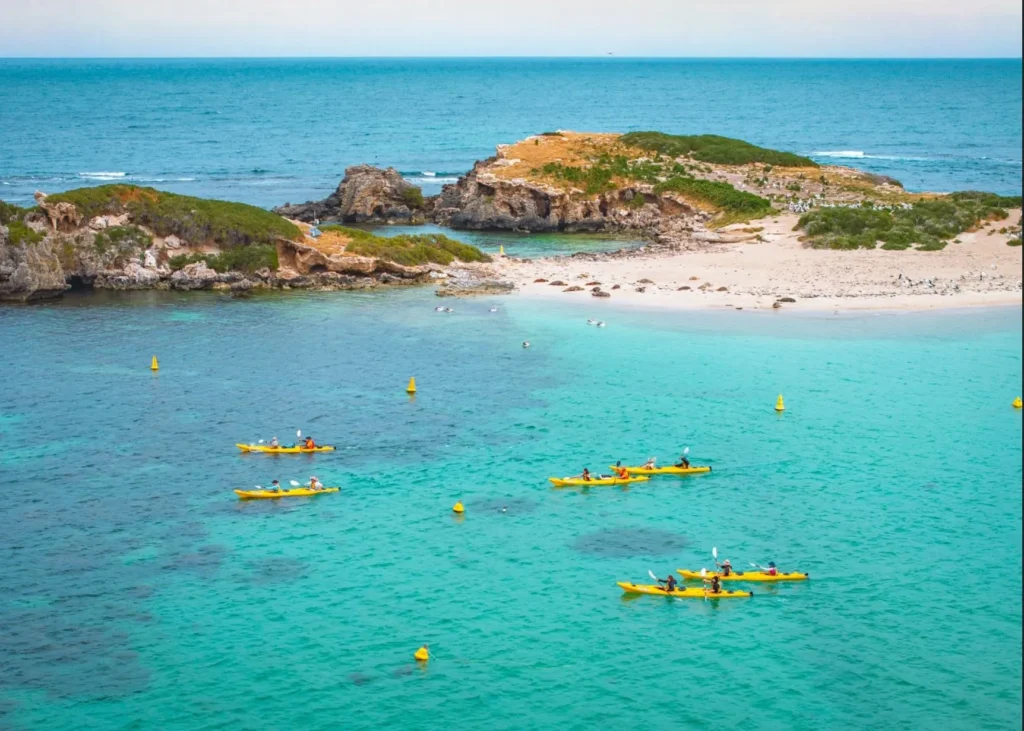 Kayaking in Shoalwater Islands Marine Park