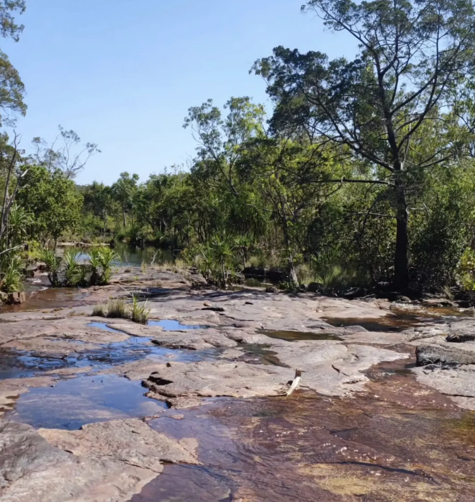 Litchfield National Park day tours