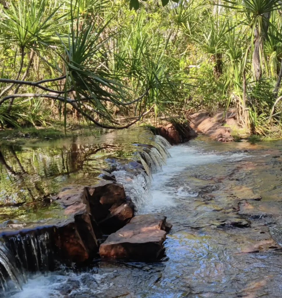 Litchfield National Park tours