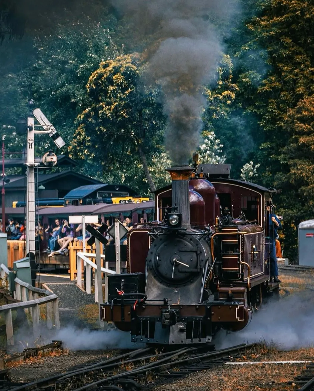 Puffing Billy steam train