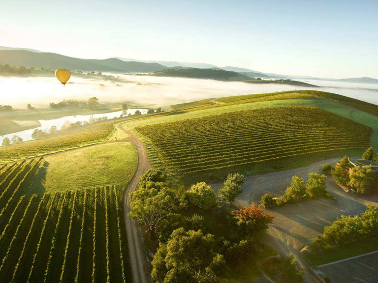 Ultimate Guide to Exploring Yarra Valley Tours from Melbourne