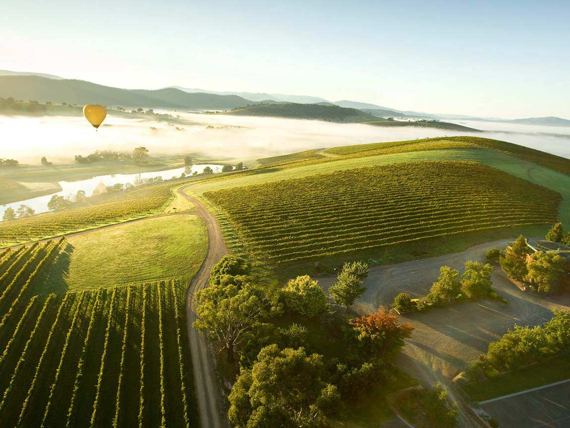 Cape Able Adventures|Ultimate Guide to Exploring Yarra Valley Tours from Melbourne