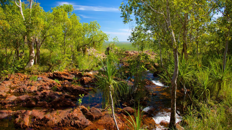 Ultimate Guide to Camping in Litchfield National Park – Discover Natural Beauty & Adventure