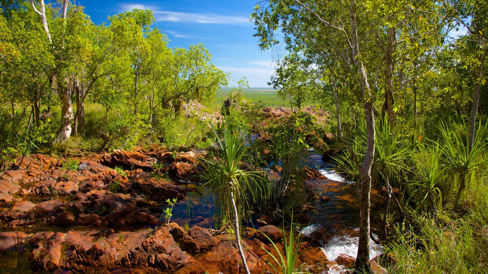 Cape Able Adventures|Ultimate Guide to Camping in Litchfield National Park – Discover Natural Beauty & Adventure