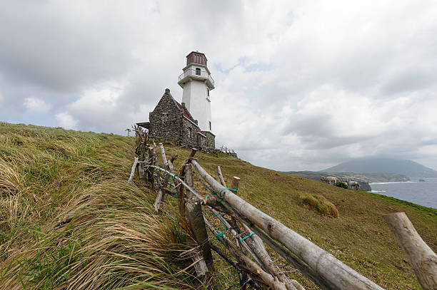 Experience the Magic of Phillip Island from Melbourne in a Day Tour